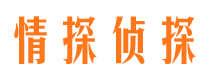 范县情探私家侦探公司